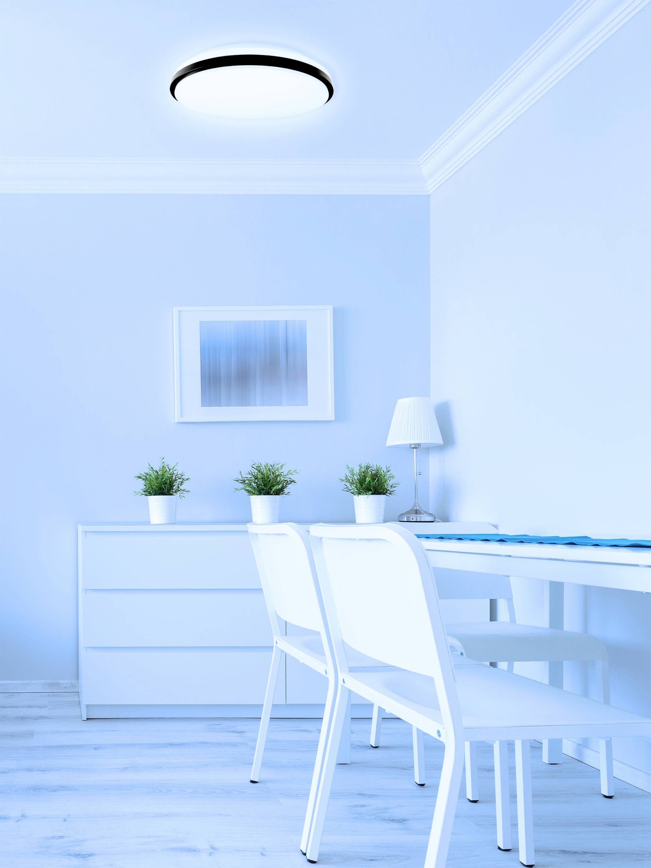 A light blue room with two white chairs at a table, a lamp, three plants on a cupboard and a framed picture on the wall.