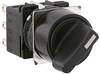 Idec LB1S-2LT6 LB1S-2LT6 Rotary switch 220 V 5 A Switch postions 2 2 x 45 ° IP65 1 pc(s)