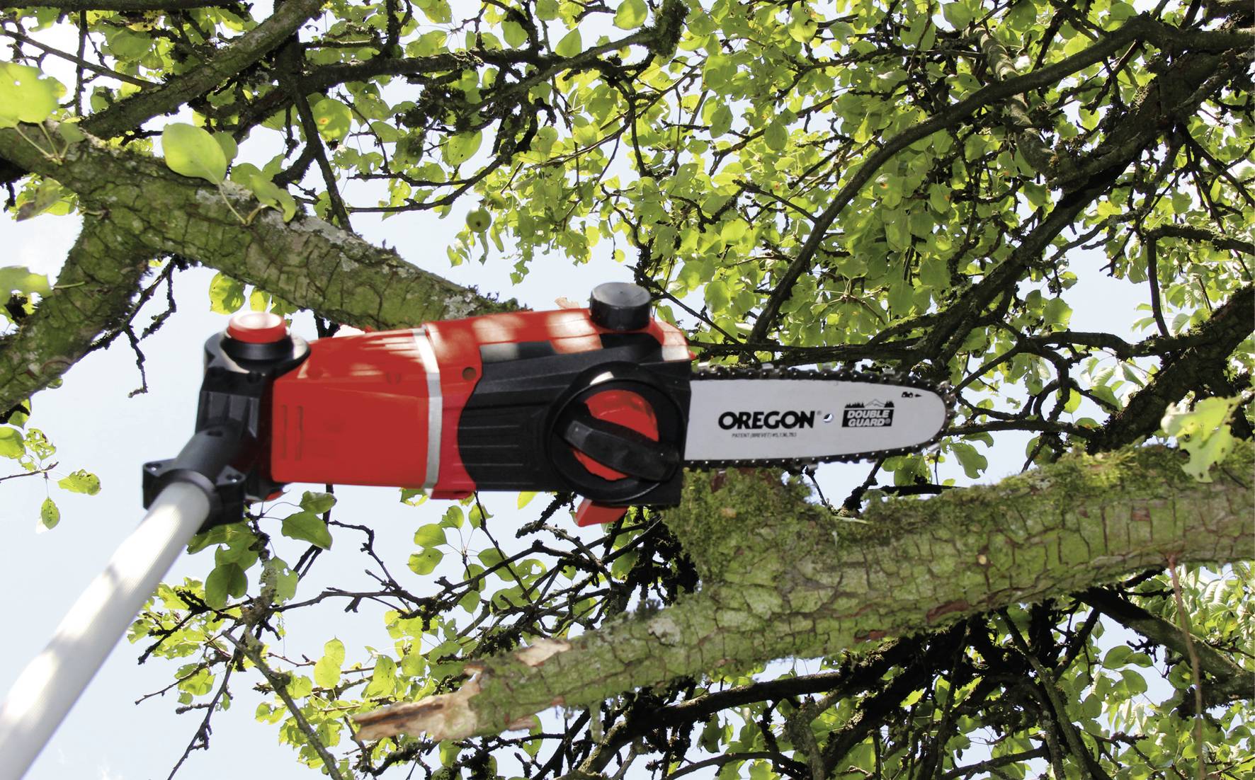 A red telescopic chainsaw cuts a branch in the green foliage of a tree. It is used for pruning branches.