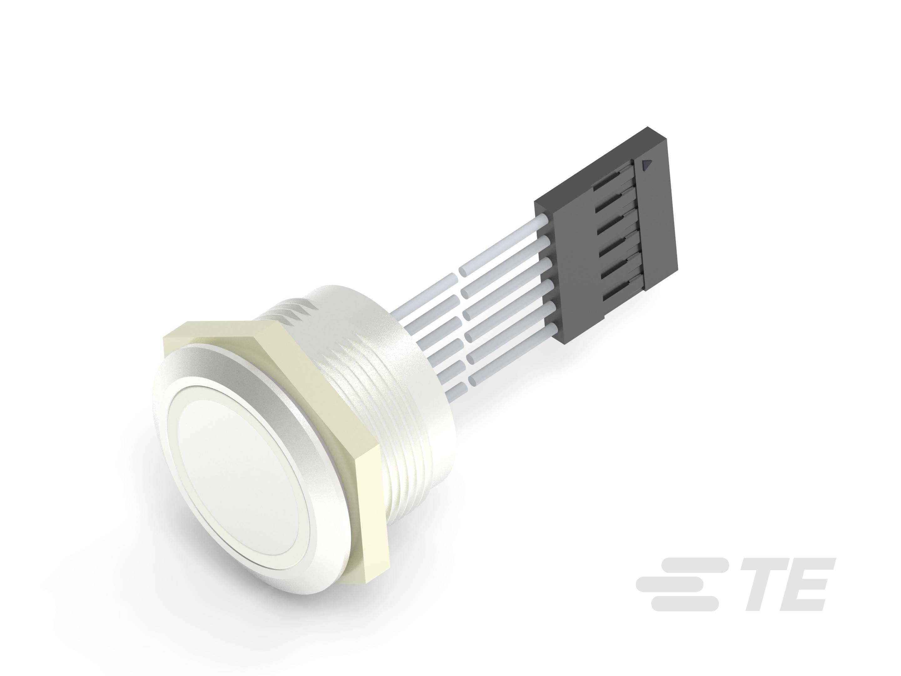 The push-button switch with connecting wires is shown in a technical illustration. Clearly defined details on a white background.