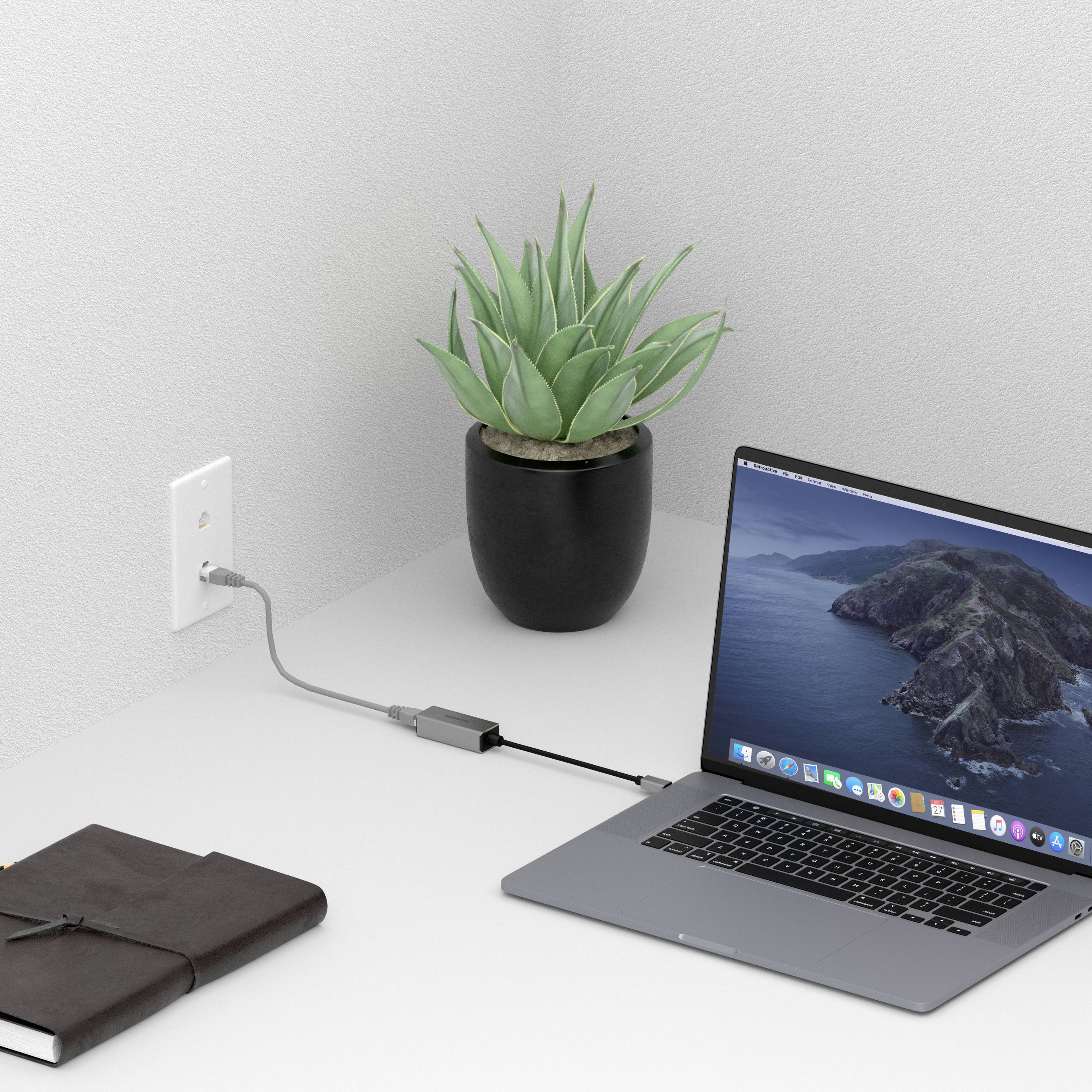 A laptop is connected to a power strip via a cable. Next to it stands a small plant in a black pot.
