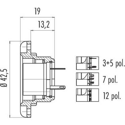 Technical drawing of a connector with dimensions: Diameter 42.5, total length 19, internal measurement 13.2. Variations: 3+5 pole, 7 pole, 12 pole.