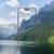 A smartphone displays a mountain and forest on its screen, with the same landscape blurrily visible in the background.