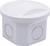 White, round plastic container with a removable lid and circular indentations on the sides.
