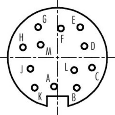 'Pin configuration of a 12-pin connector: A to M are the pin positions. Linen pattern is used for orientation.'