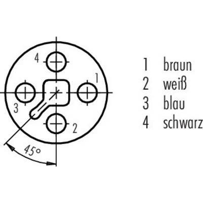Figure shows a four-pole plug with pin assignment: 1 brown, 2 white, 3 blue, 4 black. Angle of 45 degrees indicated.