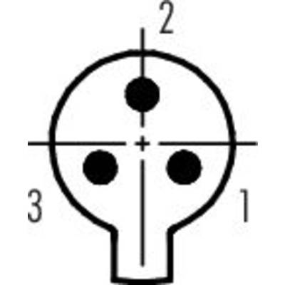 Circuit diagram of an electrical plug connection with three circular contacts. Points are labelled with the numbers 1, 2 and 3.