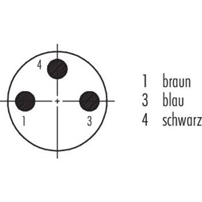 Pie chart with three black points marked as '1', '3' and '4'. Points are connected with the labelling: 1 - brown, 3 - blue, 4 - black.