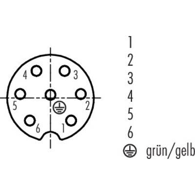 Socket layout with numbers and earth symbol. Colour input 'green/yellow', connection positions are numbered from 1 to 6.