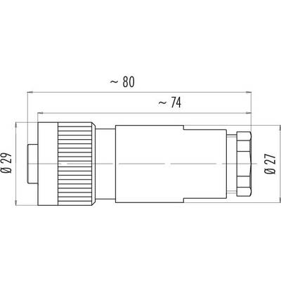 Technical drawing of a cylindrical part with dimensions: length 80 mm, diameter 29 mm at the front, 27 mm at the rear.