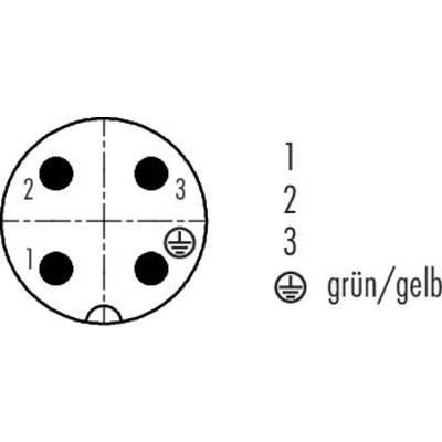 Circular connector symbol with four holes and an earth connection. Numbered: 1, 2, 3. Earth is marked in 'green/yellow'.