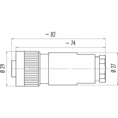 Technical drawing of a cylindrical object with length specifications: Total length approx. 82 mm, main body approx. 74 mm, diameter approx. 29 mm.