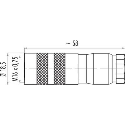 Technical drawing of a plug: Length approx. 58 mm, diameter 18.5 mm, thread M16 x 0.75.