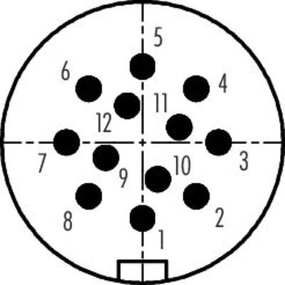 A circular connector diagram with 12 numbered pins arranged in a circle, illustrated to demonstrate neurological connections.
