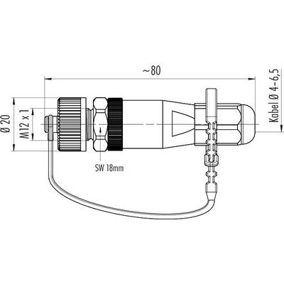 Technical drawing of a connector with dimensions. Length: 80 mm, Cable diameter: 4-6.5 mm, Thread size: M12 x 1.