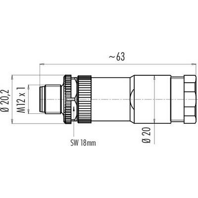 Technical drawing of a cylindrical component with M12 x 1 thread; diameter 20.2 mm; length approx. 63 mm; across flats 18 mm.