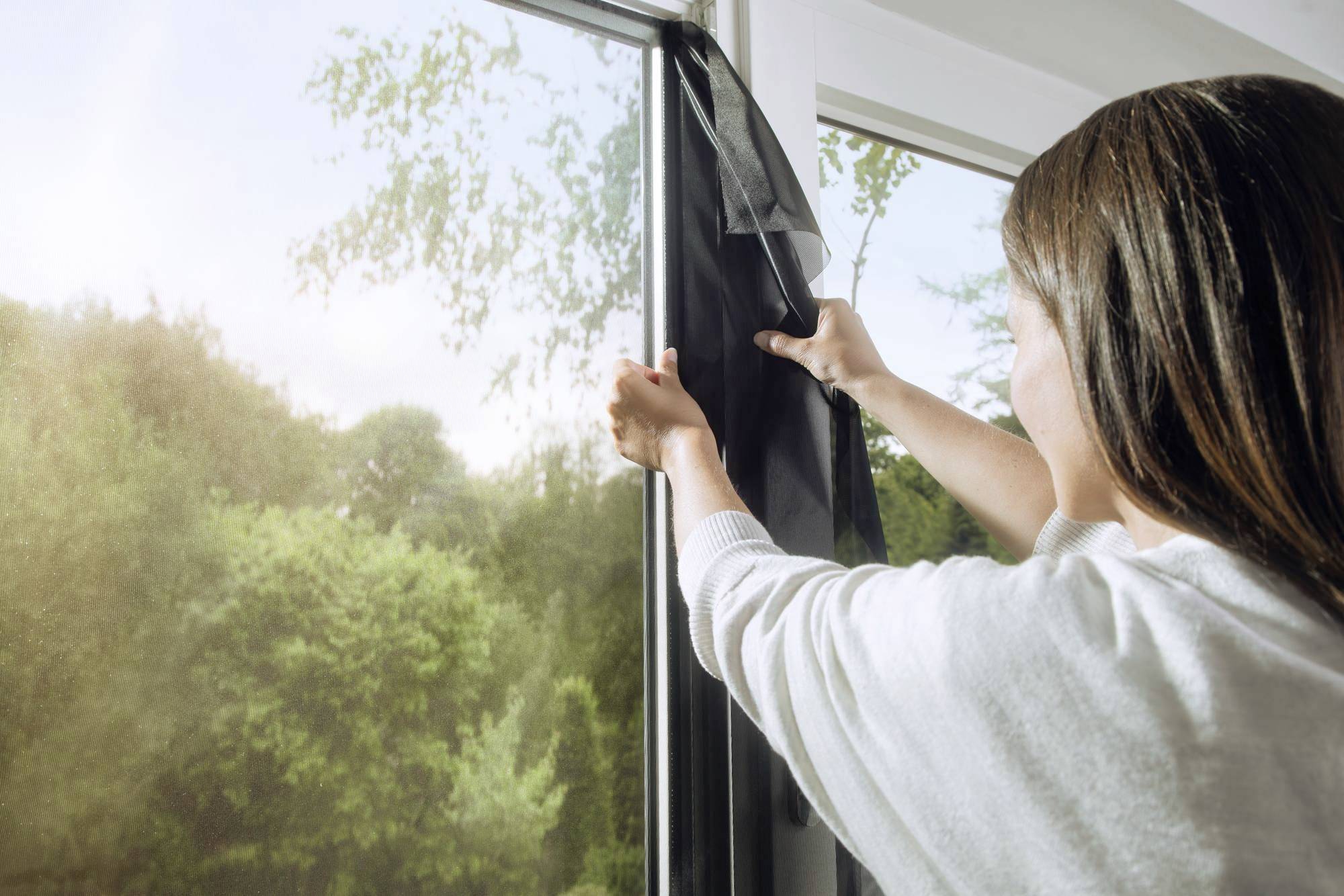 A person draws back a black curtain at a large, sun-drenched window and looks out over the greenery.