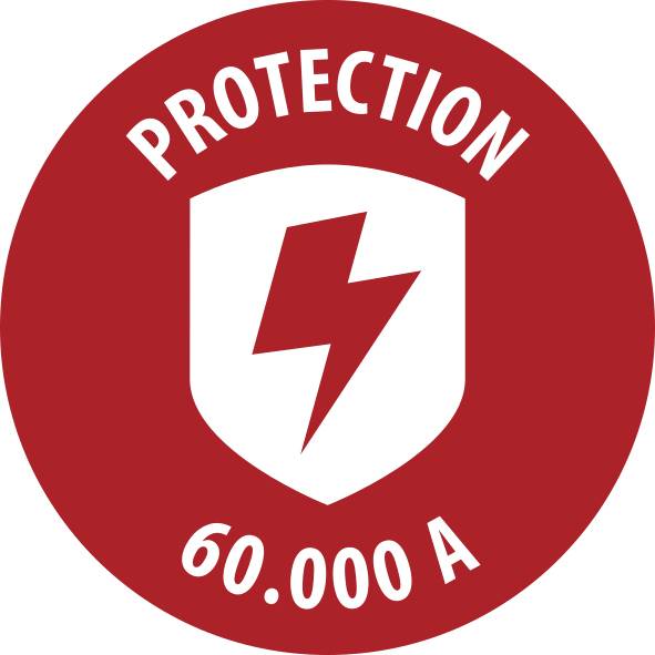 Red circular safety sign with a white shield and lightning bolt, labeled 'PROTECTION' and '60.000 A'.