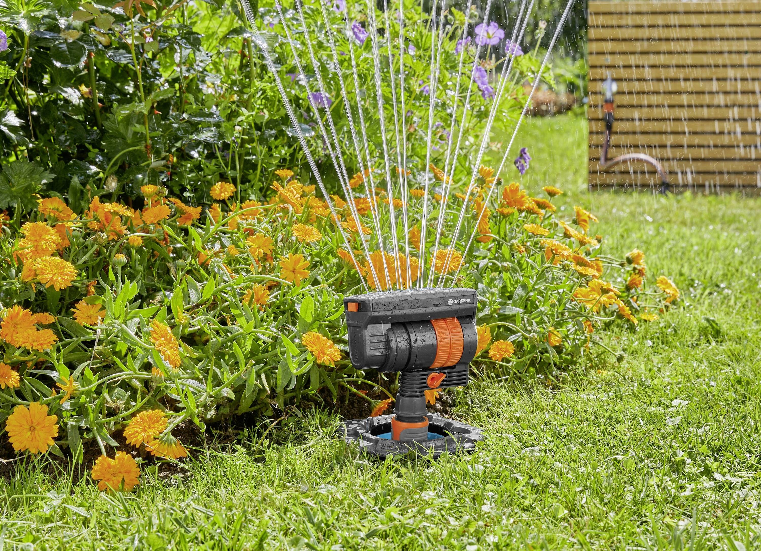 A lawn sprinkler is watering a flowering garden with orange flowers and green grass. A wooden fence can be seen in the background.