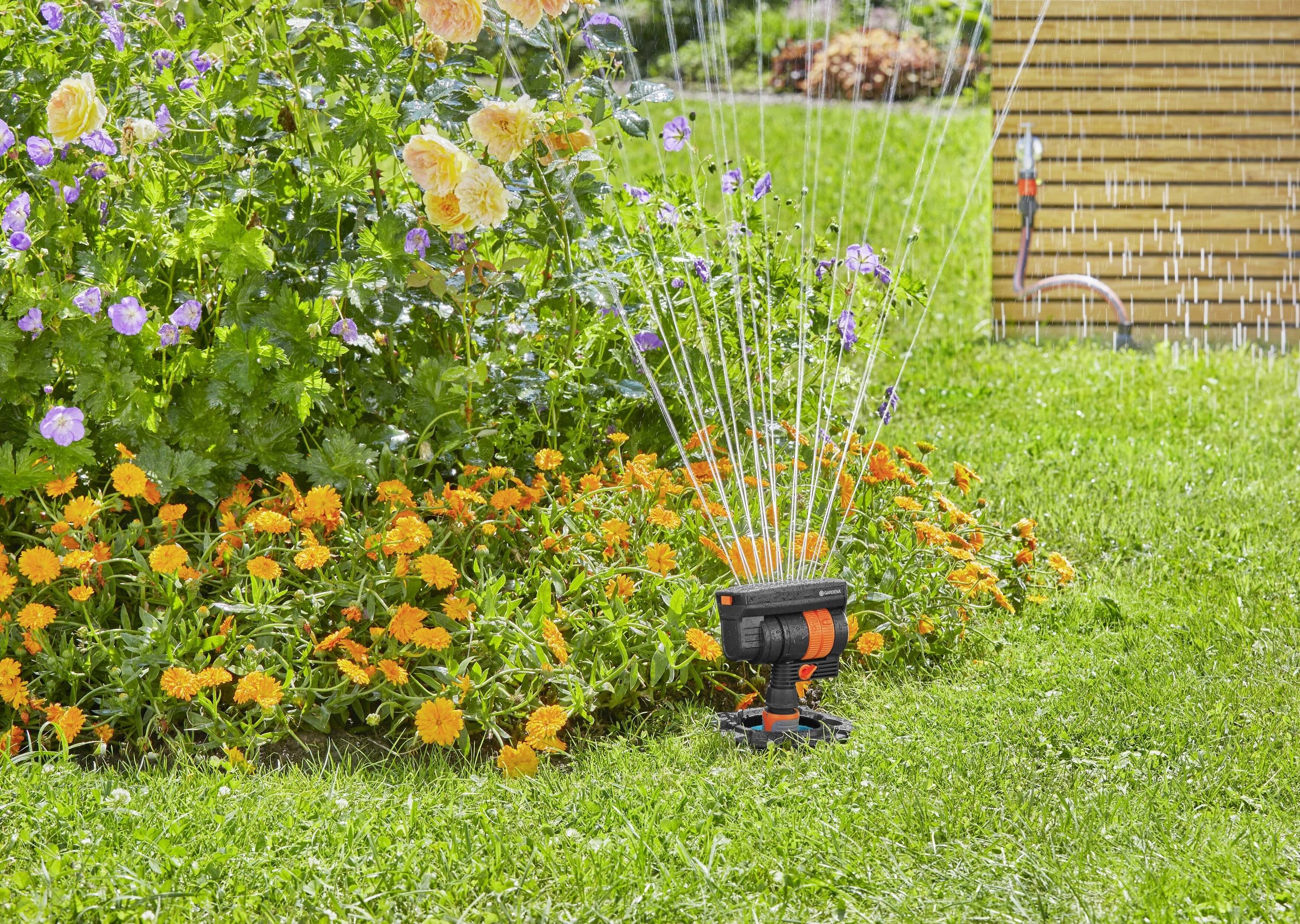 Irrigation system on a meadow, spraying water jets, with flowering flowers such as roses and marigolds in the background.