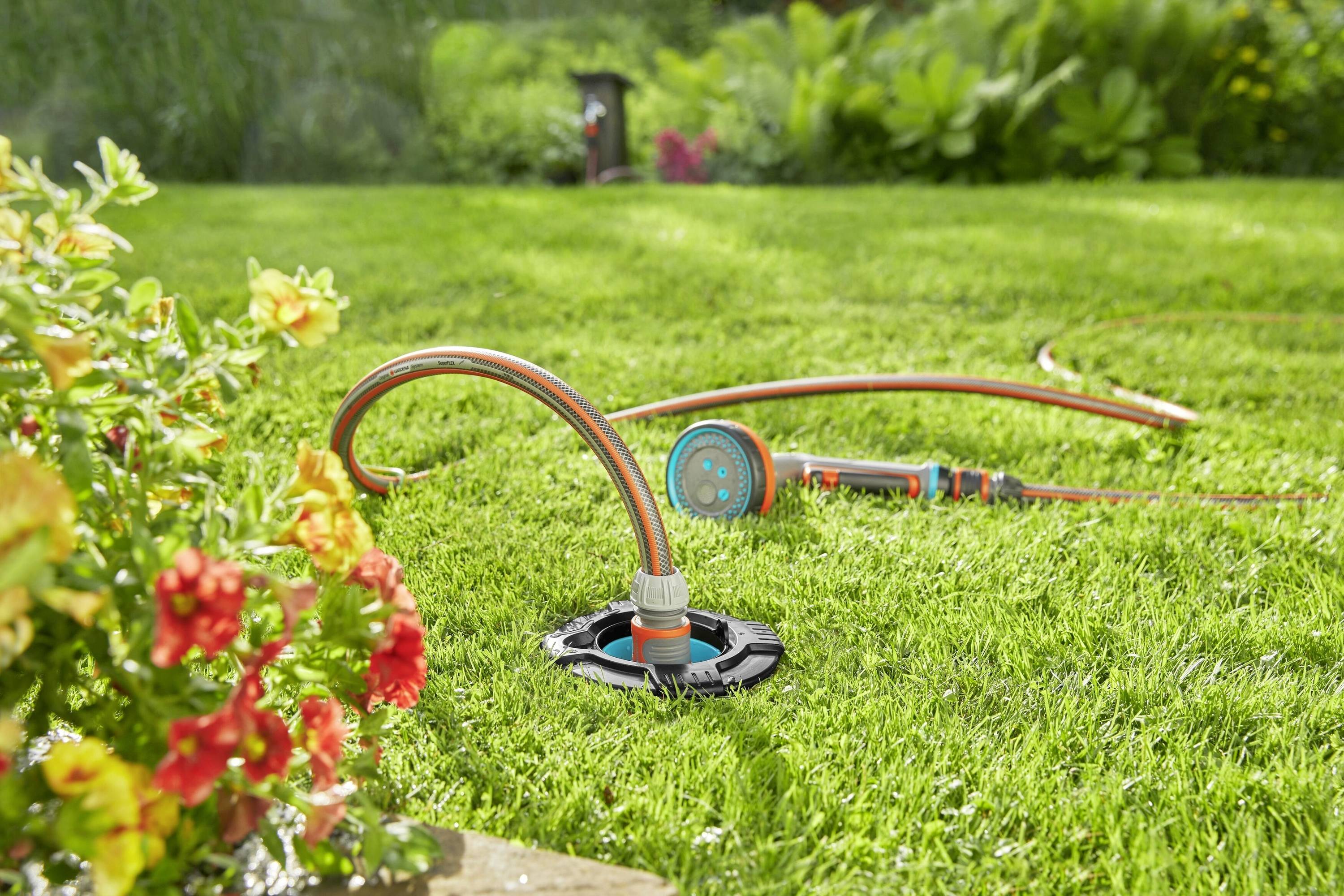 A garden hose with a sprinkler attachment lies on a green lawn. Flower beds are situated nearby. The scene depicts garden maintenance.