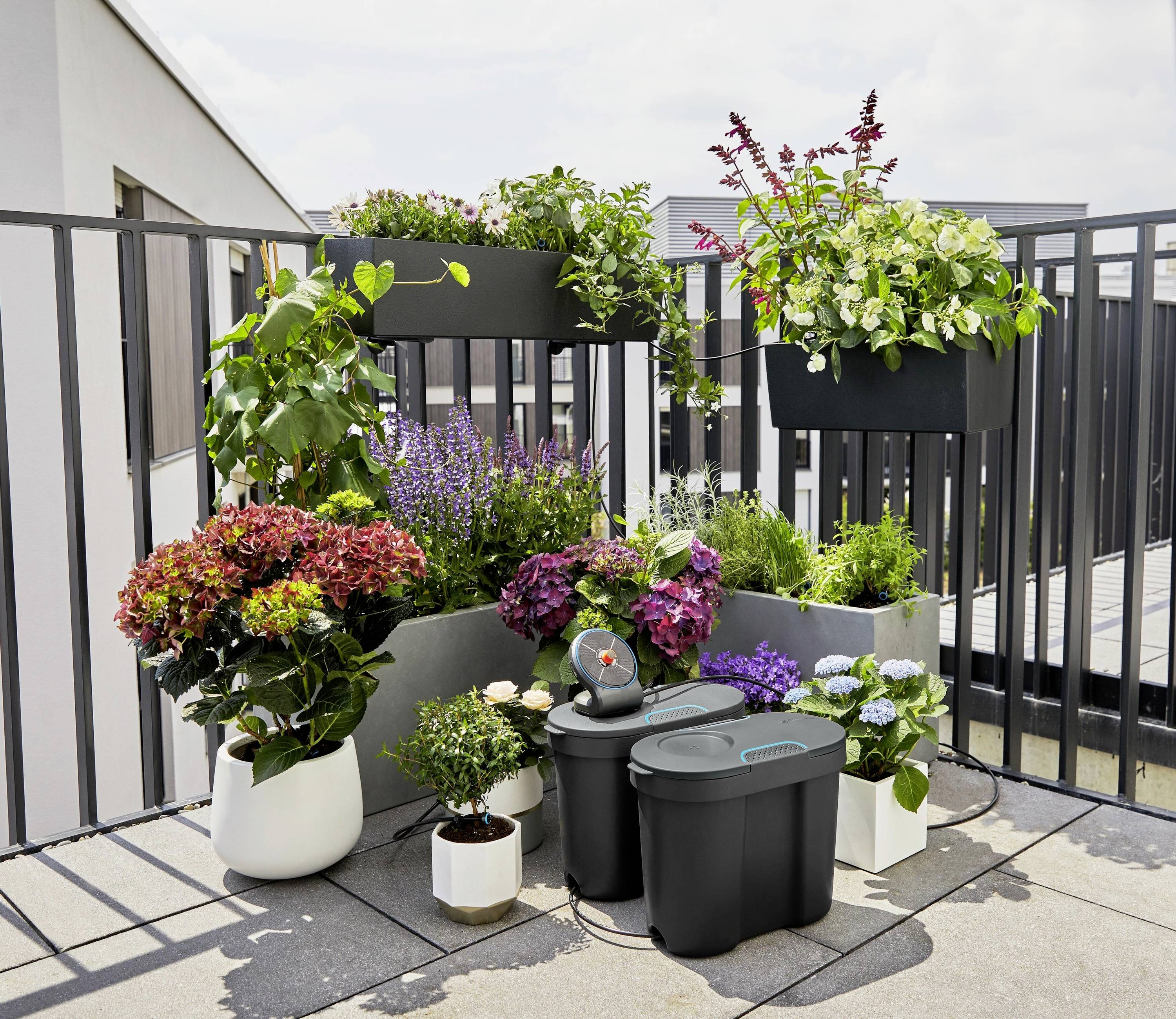 Various flower pots with colourful flowers and plants on a balcony; two black containers are positioned in the foreground.