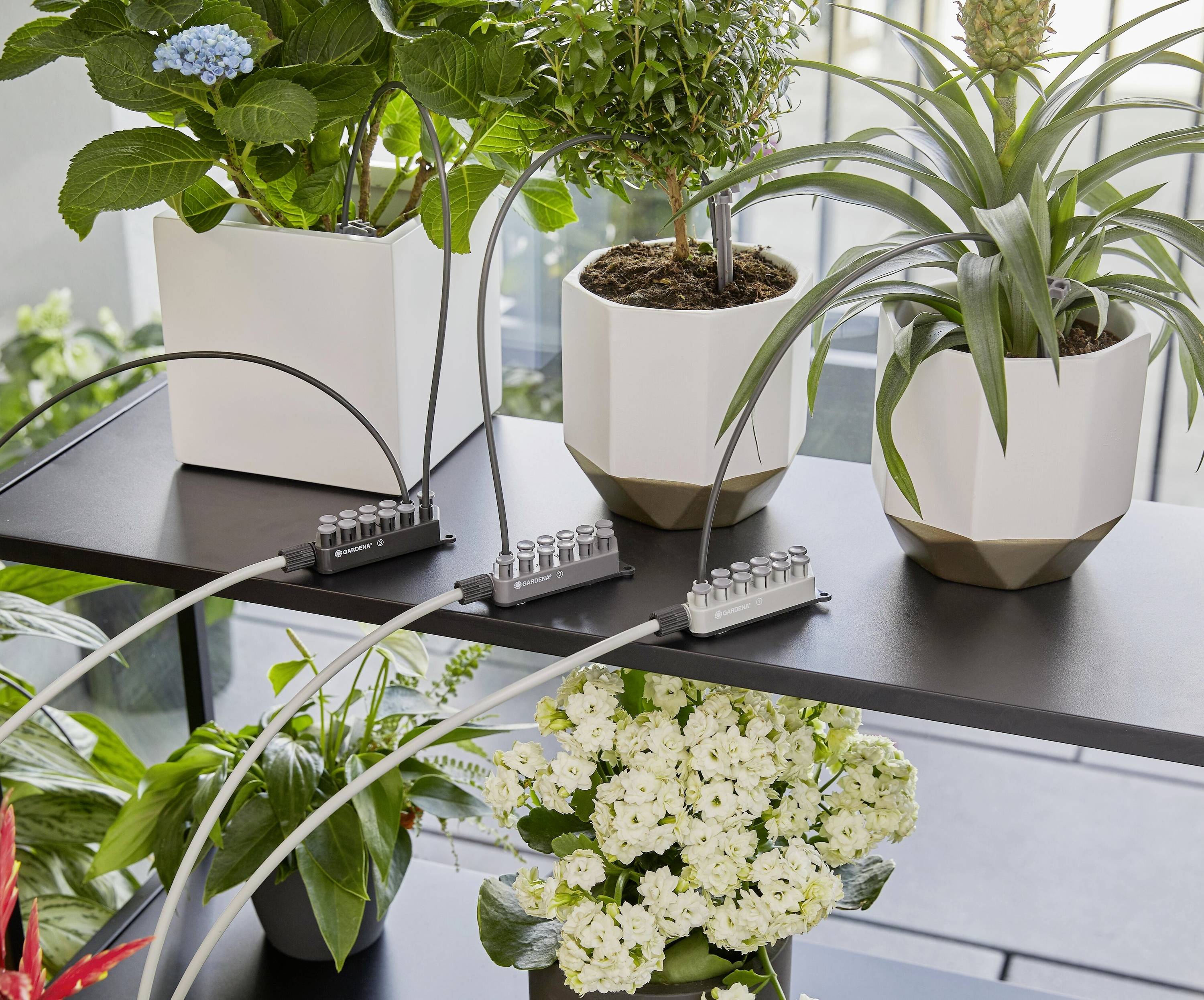 Three houseplants in decorative pots, connected to an automatic watering system that ensures regular water supply.