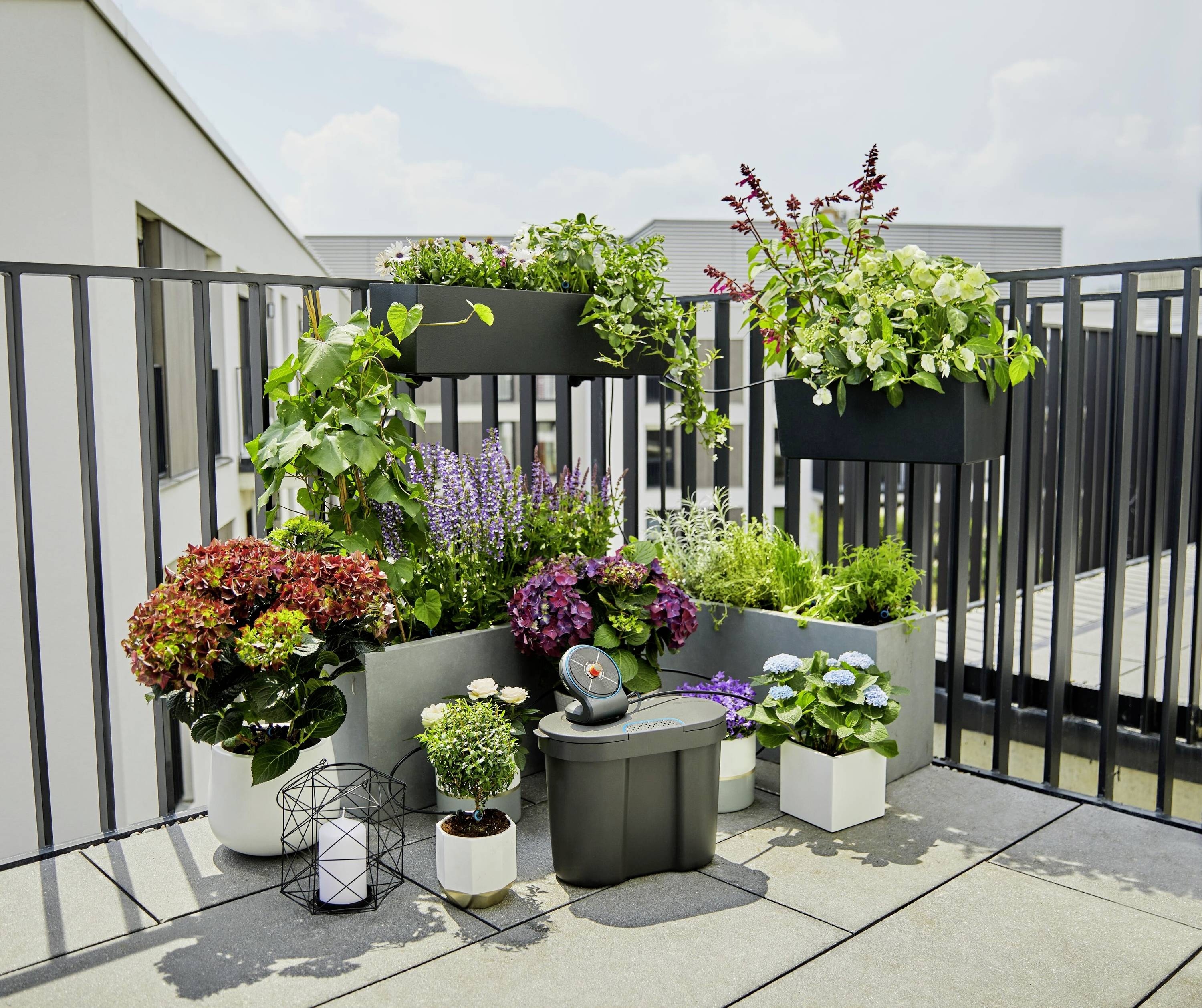 A terrace with various flowering and green plants in pots, arranged on a floor with a lattice fence.