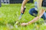 GARDENA Ecoline 17702-20 Weeder