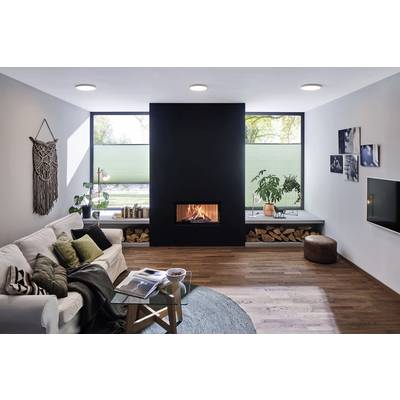 Bright living room with a sofa, fireplace and plants. Large windows in the background. Cosy decoration, modern style.