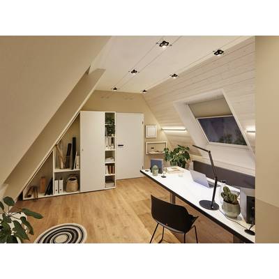 Bright home office in the attic with a desk, ergonomic chair, shelves, plants and a roof window.