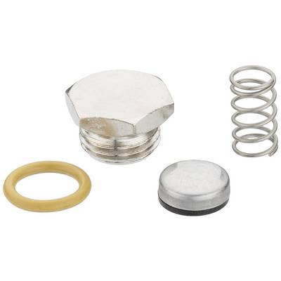 Screw, spring, sealing ring and plug on a white background. Components of a mechanical system for sealing or fastening.