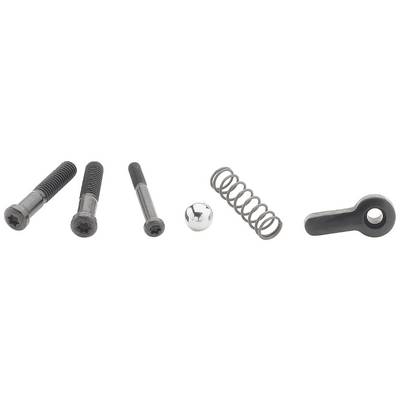 Three black screws, a metal ball, a spring and a metal lever on a white background. Tool parts for repairs.