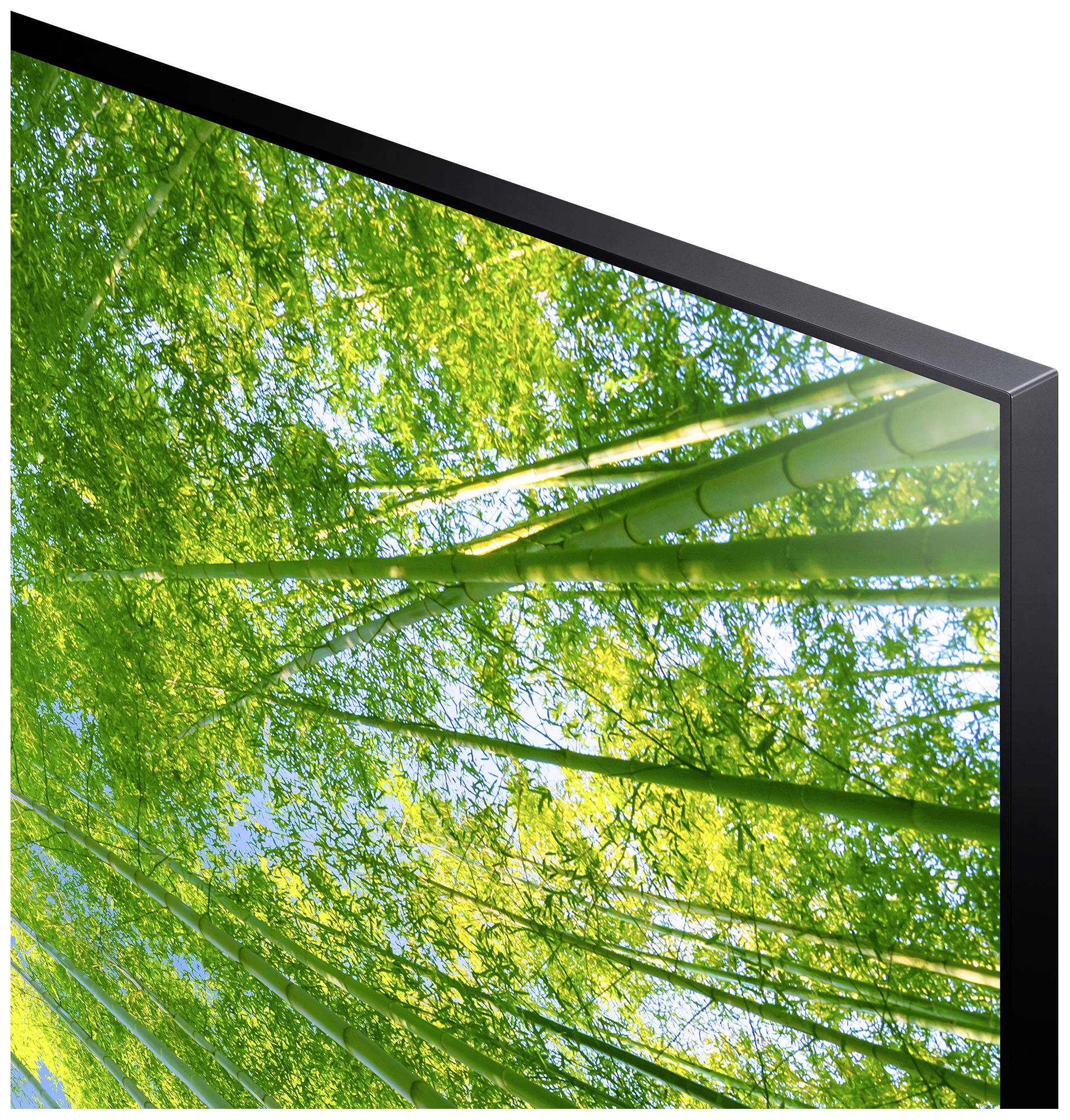 LG Electronics 65UQ80009LB.AEUD LED TV 164 cm 65 inch EEC F (A - G) DVB-C, DVB-S2, DVB-T2, UHD, Smart TV, Wi-Fi, CI+-10