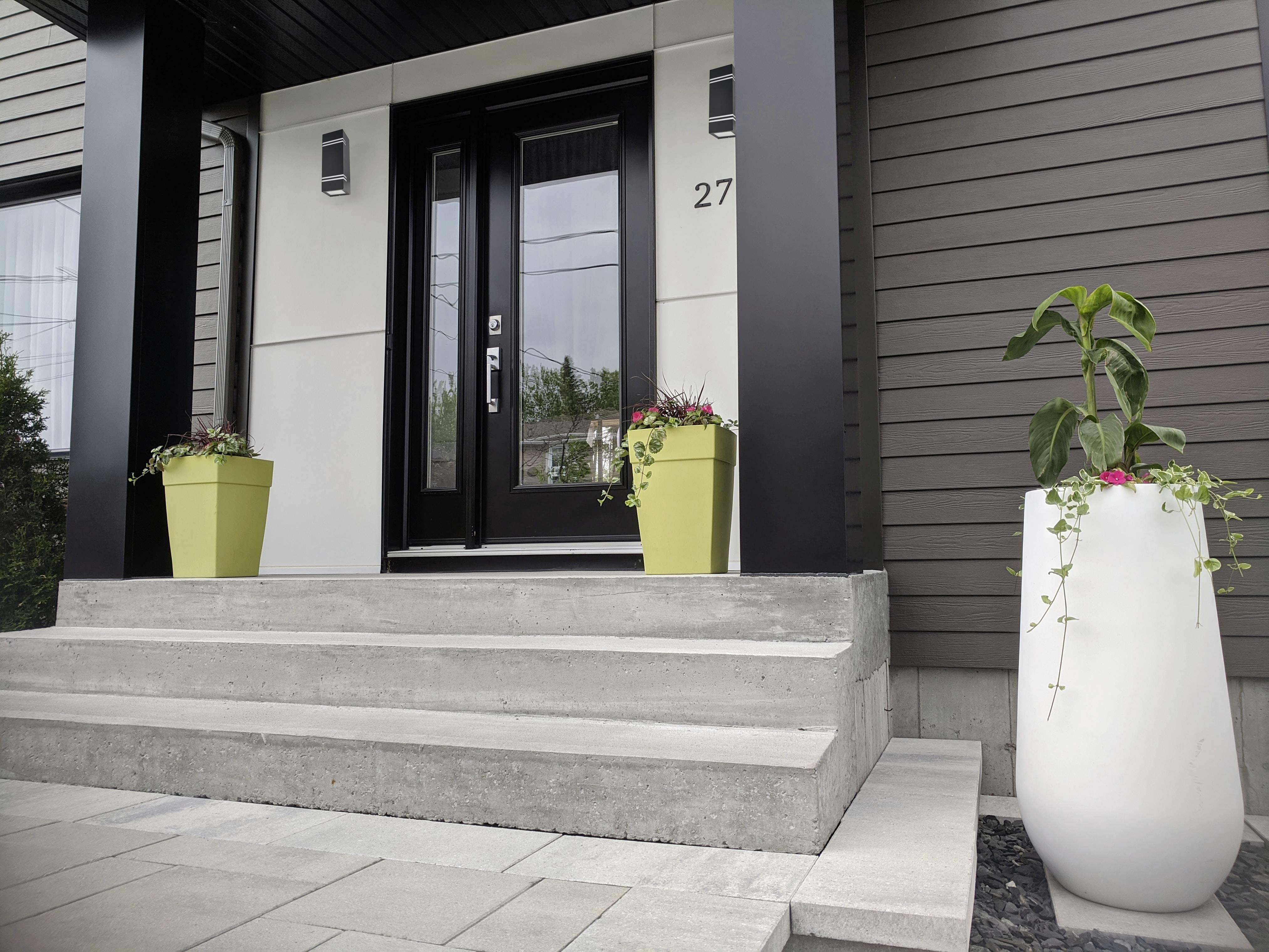 House facade with a modern black front door, flanked by two green and one white plant pots with flowers and plants on concrete steps.