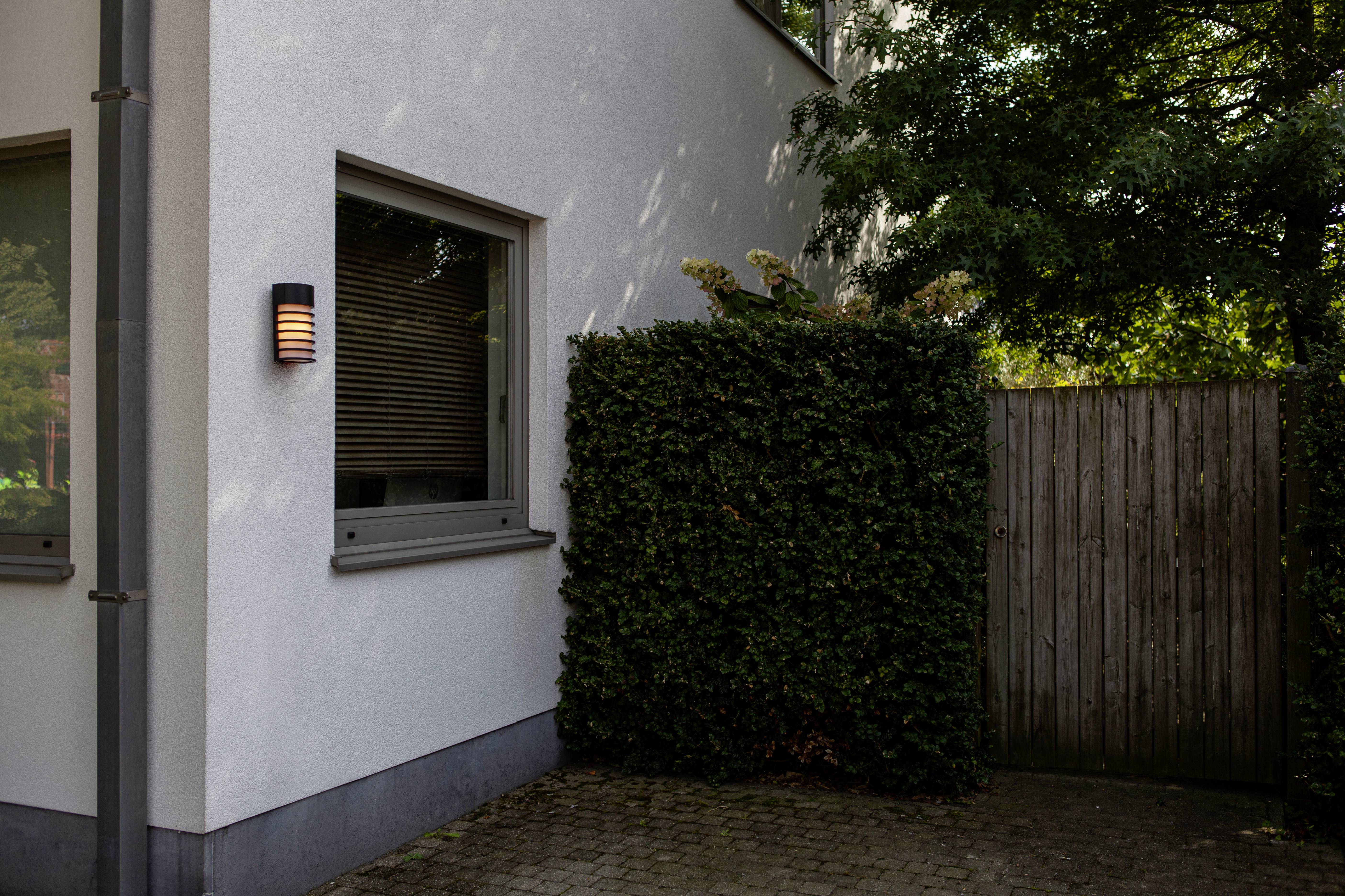Corner of a white building with a window and a lamp. Next to it, a tall hedge and a wooden gate. Shadows of trees fall on the wall.