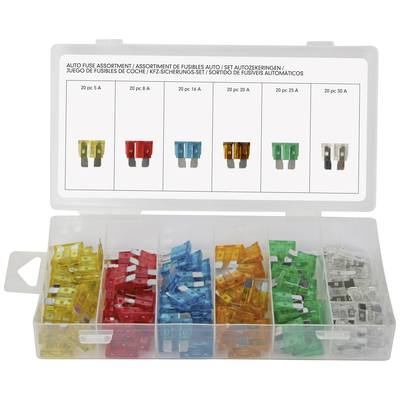 An open box containing various car fuses in multiple colours and amperage ratings: 5 A, 10 A, 15 A, 20 A, 25 A, 30 A.