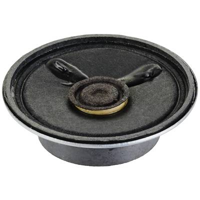 Round loudspeaker with a damaged membrane showing two cracks. The central cone remains intact.