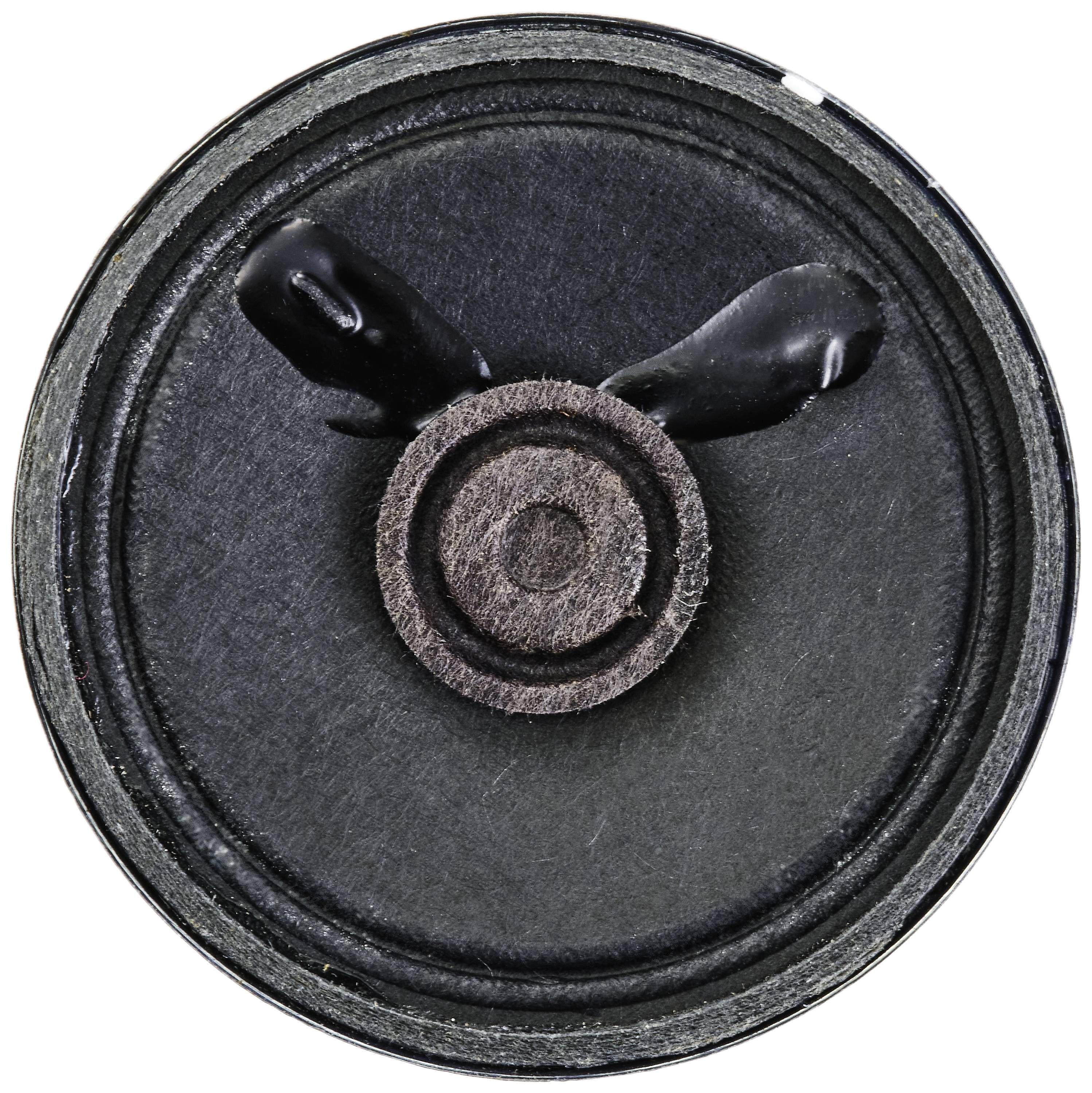 The close-up shows the membrane of a speaker with a concentric circular design in the centre.