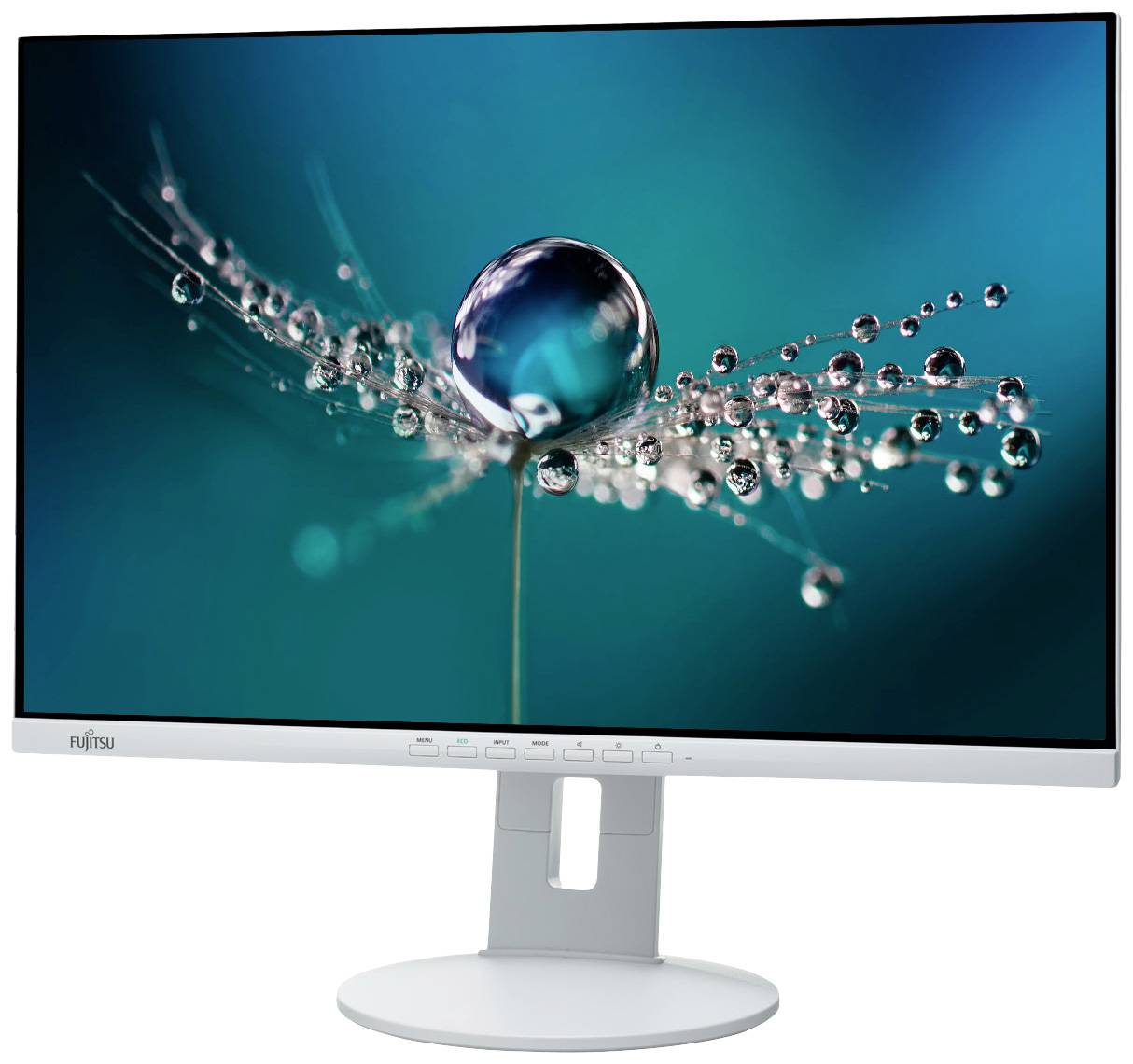 A monitor displays a close-up photograph of water bubble formation on a delicate plant stem against a blurred background.