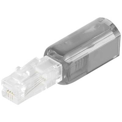 A grey RJ-45 Ethernet plug, partially transparent, shown from an angle that reveals both internal and external details.