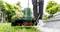 Person using a green electric grass trimmer on a lawn near steps, with greenery in the background.