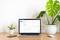 A laptop is displaying an open website with financial data on a table between two plants. A smartphone lies beside it.