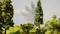 Miniature scene of a forest with fir trees and deciduous trees against a clear sky. A blurred tree is doubled in the background.