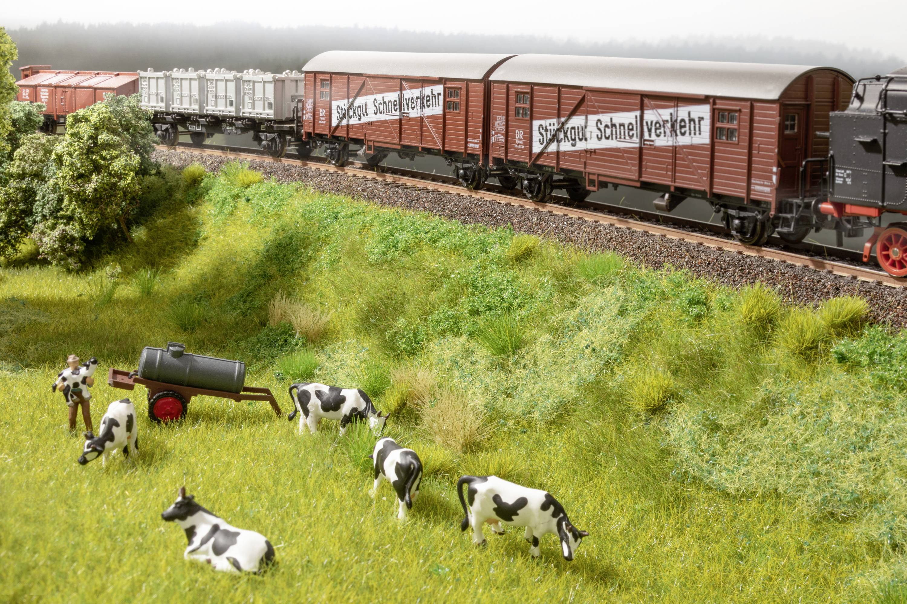 NOCH 60775 Woodland set Weed-1