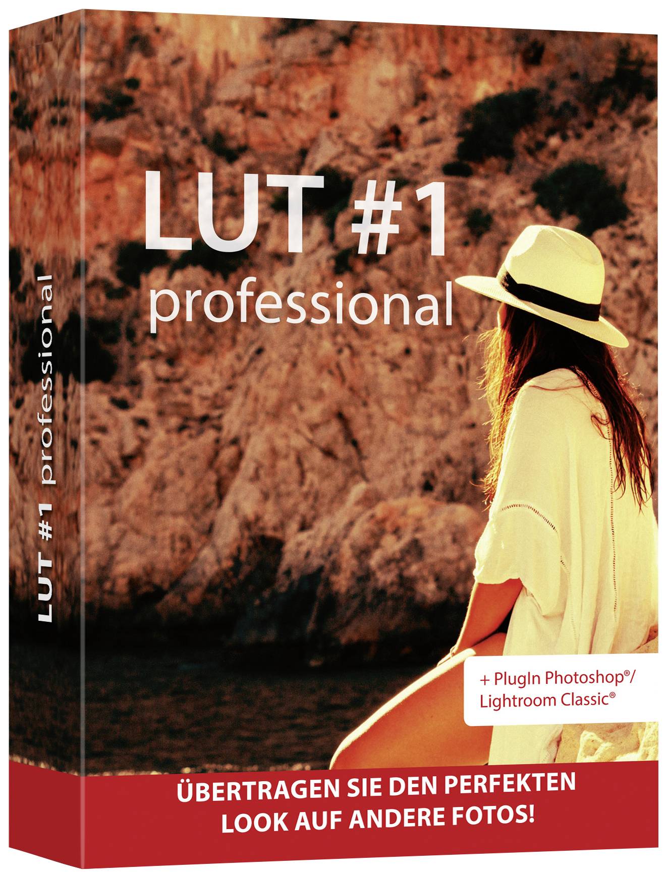 Markt & Technik DIVE 1 PRO Full version, 1 licence Windows Illustrator