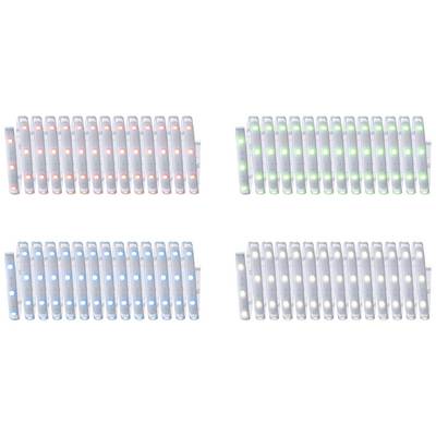 Four rows of LED lights in red, green, blue and white, arranged evenly at close intervals.