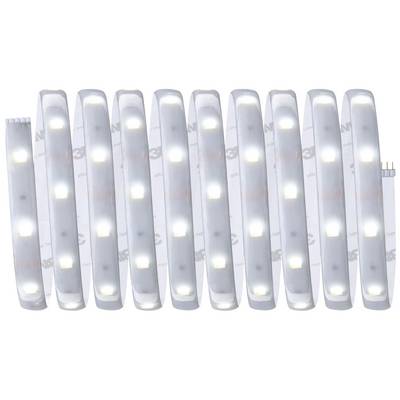 Ten white LED light strips in a row, standing on a white surface. They are evenly illuminated and symmetrically arranged.