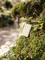 A portable charger leans against a moss-covered tree trunk in a forest, symbolising sustainable technology in nature.