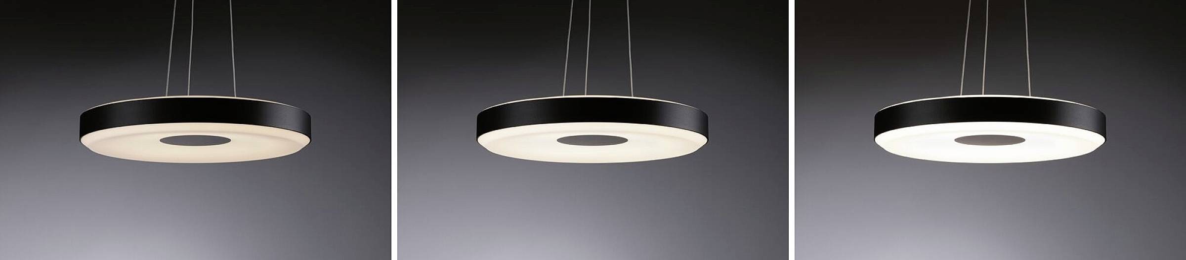 Paulmann Pane 79779 LED pendant light 11 W Black, Grey-3